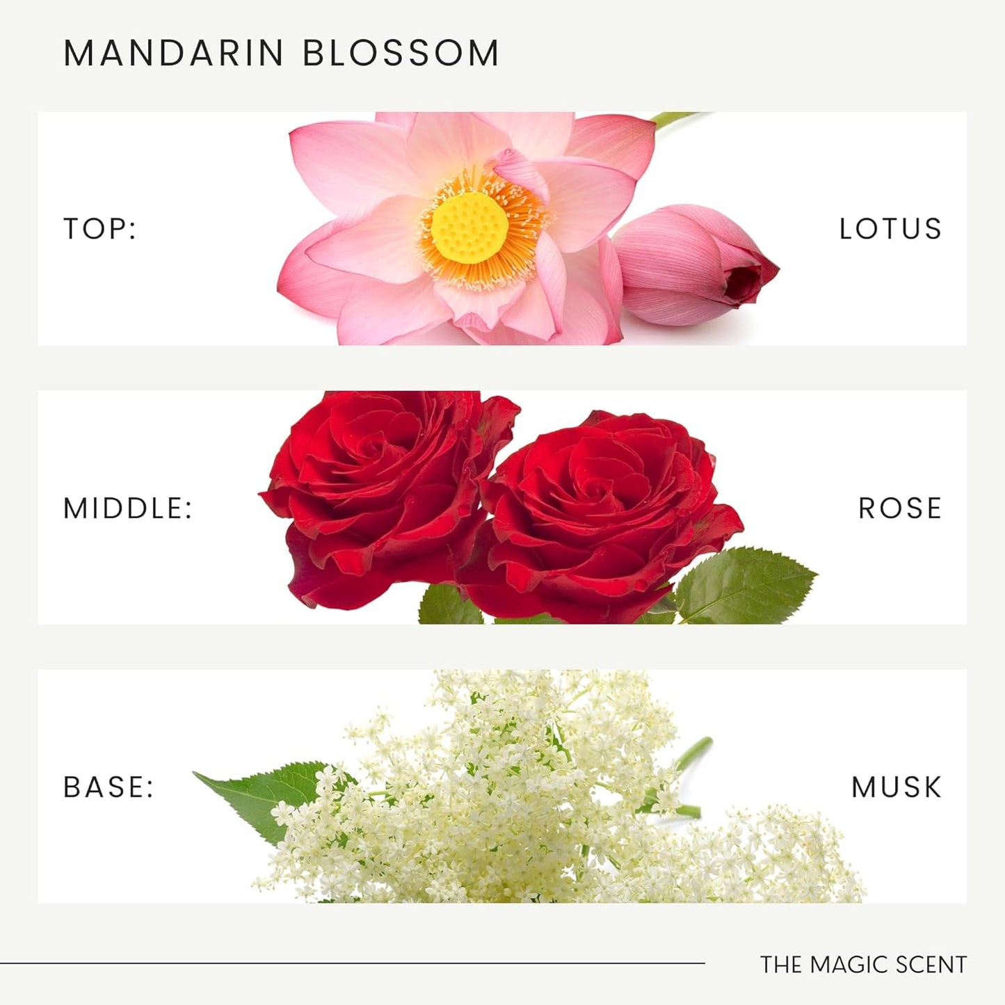 Mandarin Blossom Diffuser Oil - Hotel & Home Luxury Scents Inspired by St. Regis Hotel, Maldives - Diffuser Oil Scents for Home Designed for Use in All Diffusers - 16.9 fl oz, 500 mL