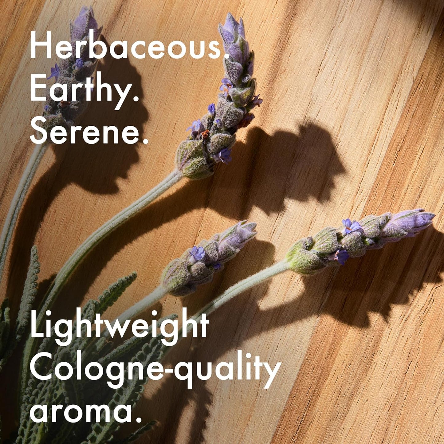 The Art of Shaving Lavender Shaving Cream for Men - Beard Care, Protects Against Irritation and Razor Burn, Clinically Tested for Sensitive Skin, 5 Fl Oz (Pack of 1)