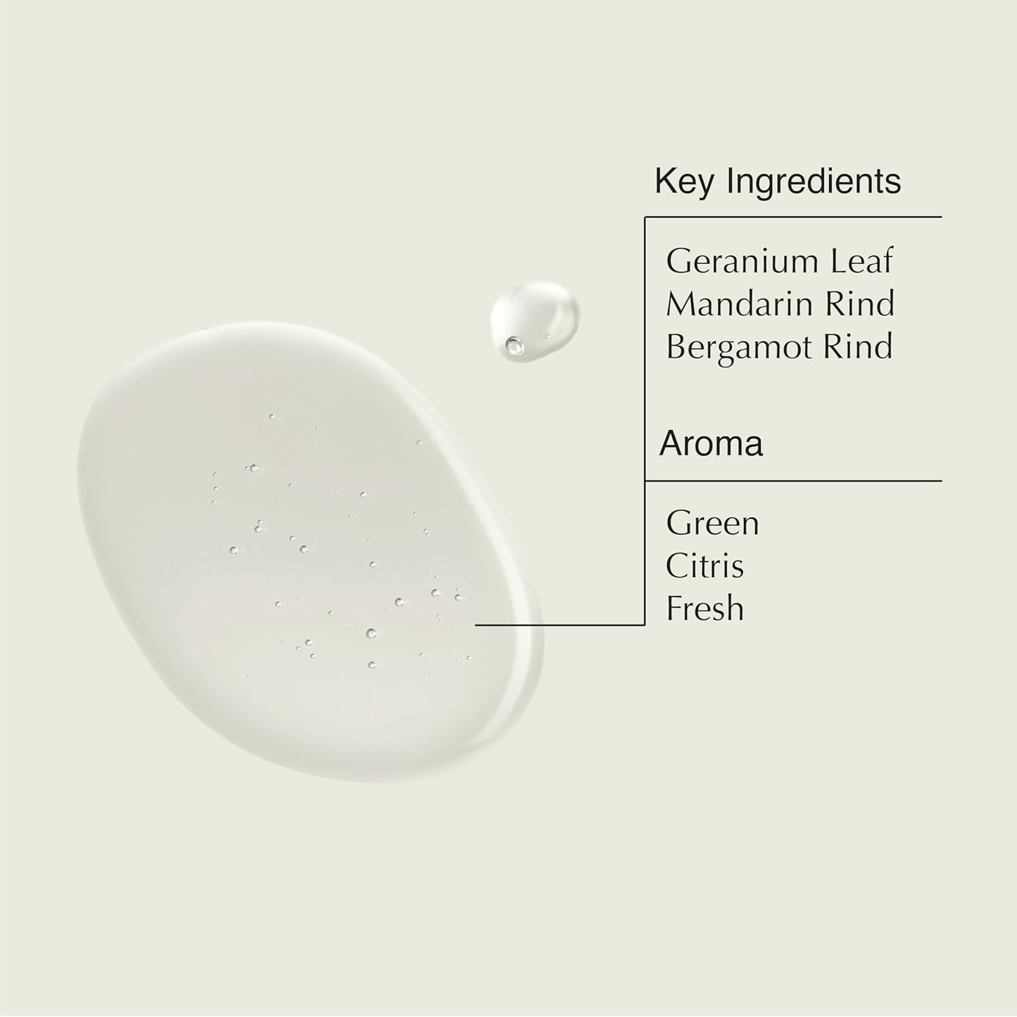 Aesop Geranium Leaf Body Cleanser and Shampoo | Paraben, Cruelty-free & Vegan | 16.9 oz