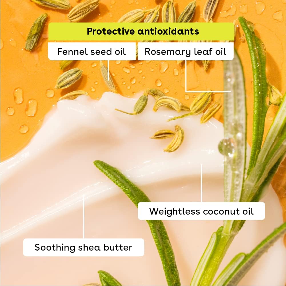 eos 100% Natural & Organic Lip Balm Sticks - Sweet Mint, All Natural Lip Balm, All-Day Moisture, Dermatologist Recommended, 0.14 oz, 2-Pack