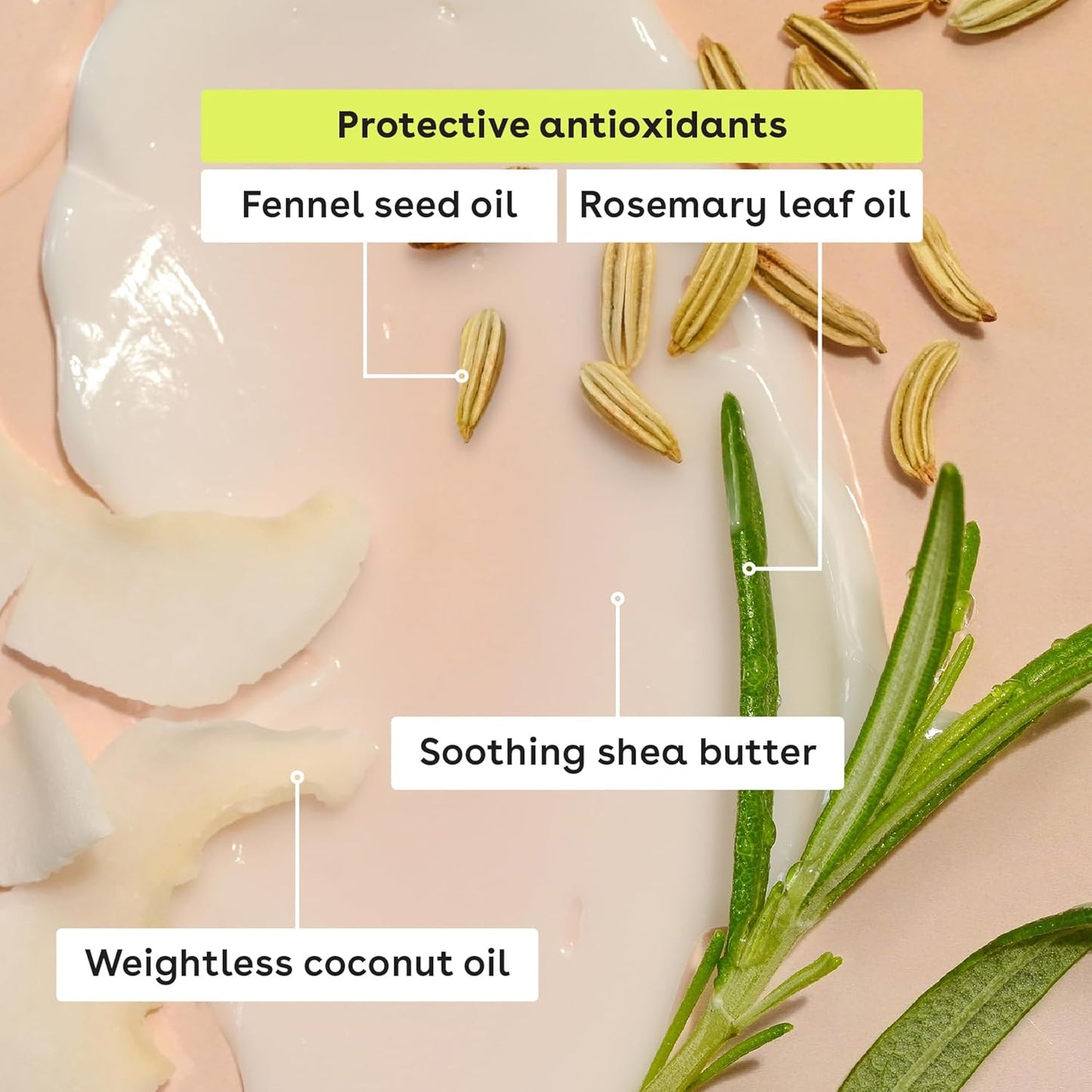 eos Natural Shea Lip balm, Acai Blackberry, Fresh Coconut, Mango Nectar 3-Pack Sticks