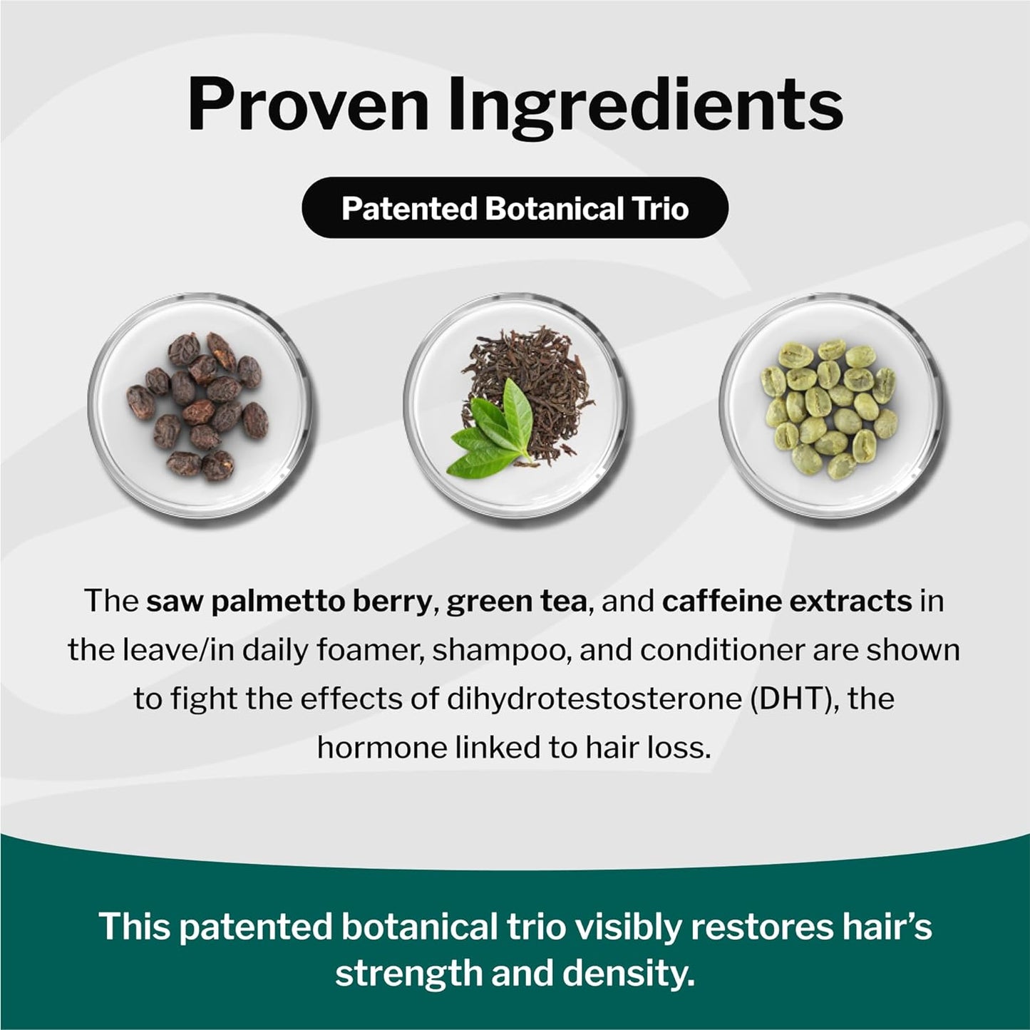 Shapiro MD Hair Growth Experts Hair Loss Shampoo | DHT Fighting Vegan Formula for Thinning Hair Developed by Dermatologists | Experience Healthier, Fuller and Thicker Looking Hair | 4 Month Supply