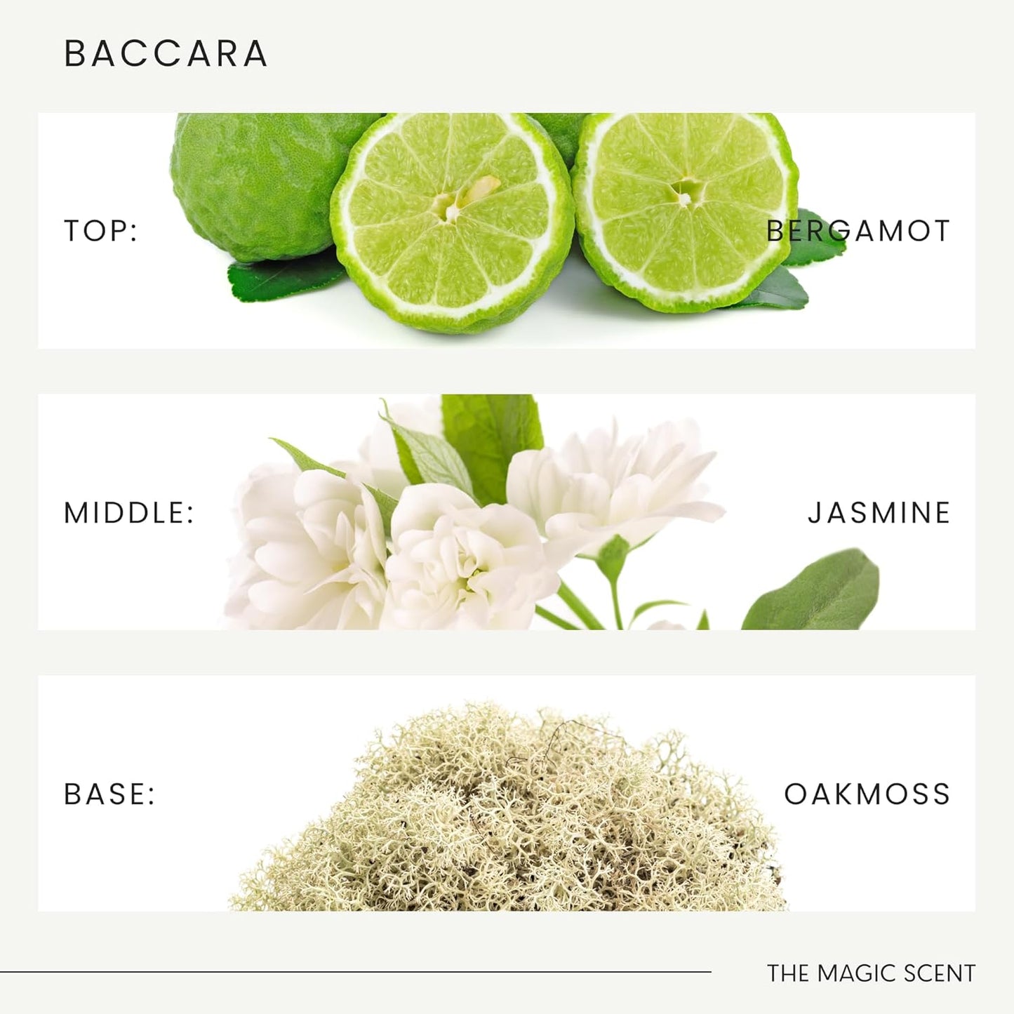 Baccara Diffuser Oil - Hotel & Home Luxury Scents Inspired by Baccarat Rouge - Diffuser Oil Scents for Home Designed for Use in All Diffusers - 8.5 fl oz, 250 mL
