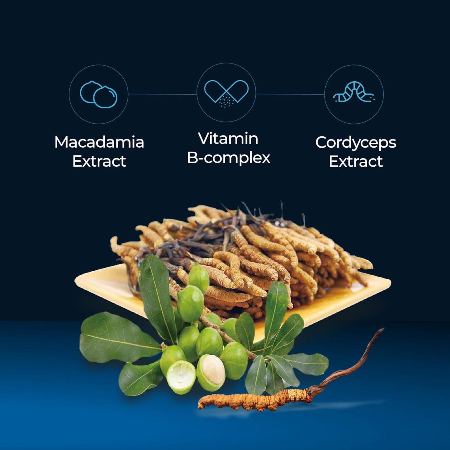 FINE JAPAN Cordyceps Plus: Premium Cordyceps Mushroom Extract and Macadamia Blend - Smart Drops Adaptogenic Mushrooms, Organic Mushroom Supplement for Energy & Immunity, Liquid Cordyceps (Pack of 20)