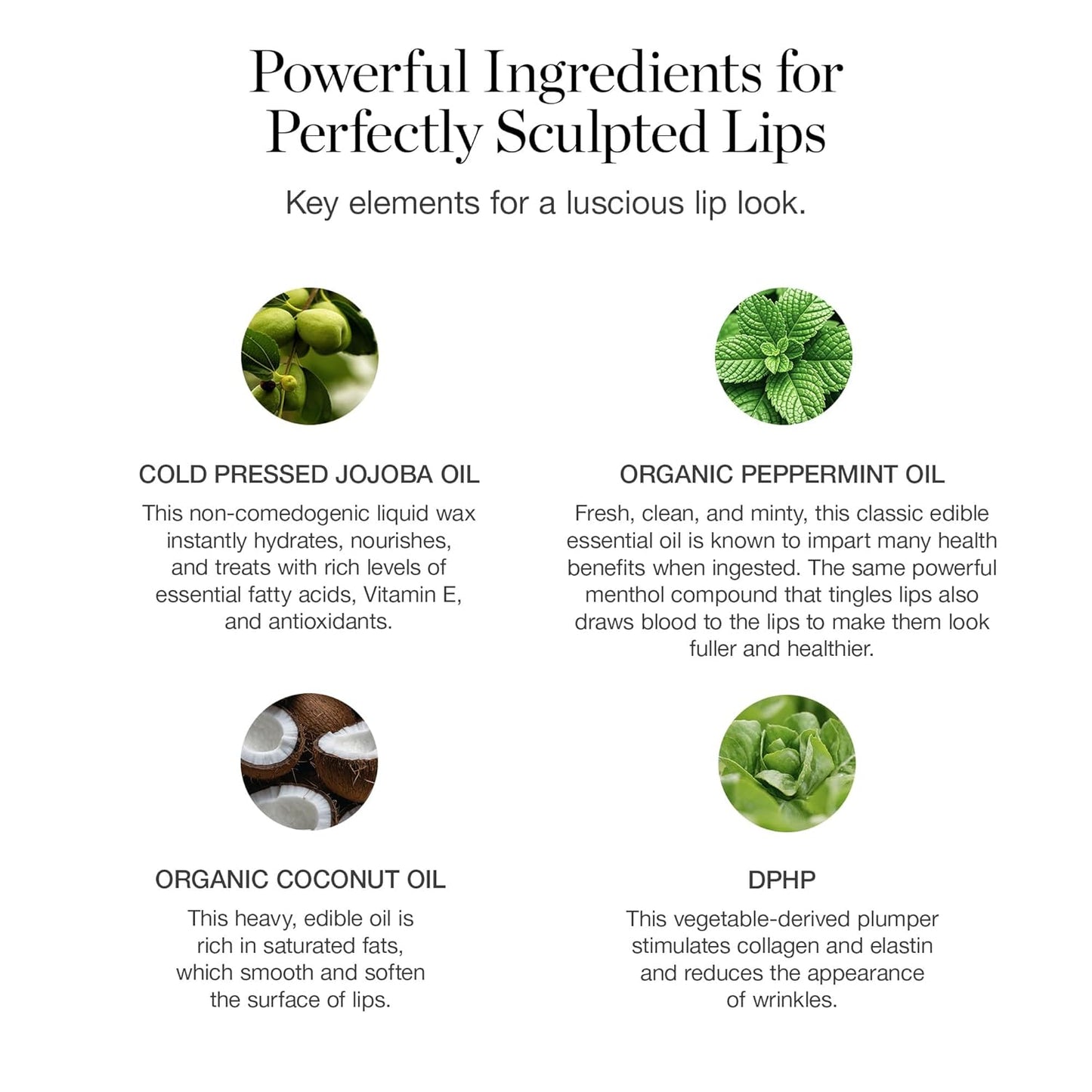 Ogee Tinted Sculpted Lip Oil - Lip Stain Made with 100% Organic Coconut Oil, Jojoba Oil, and Vitamin E - Best as Lip Balm, Lip Color or Lip Treatment - MAGNOLIA