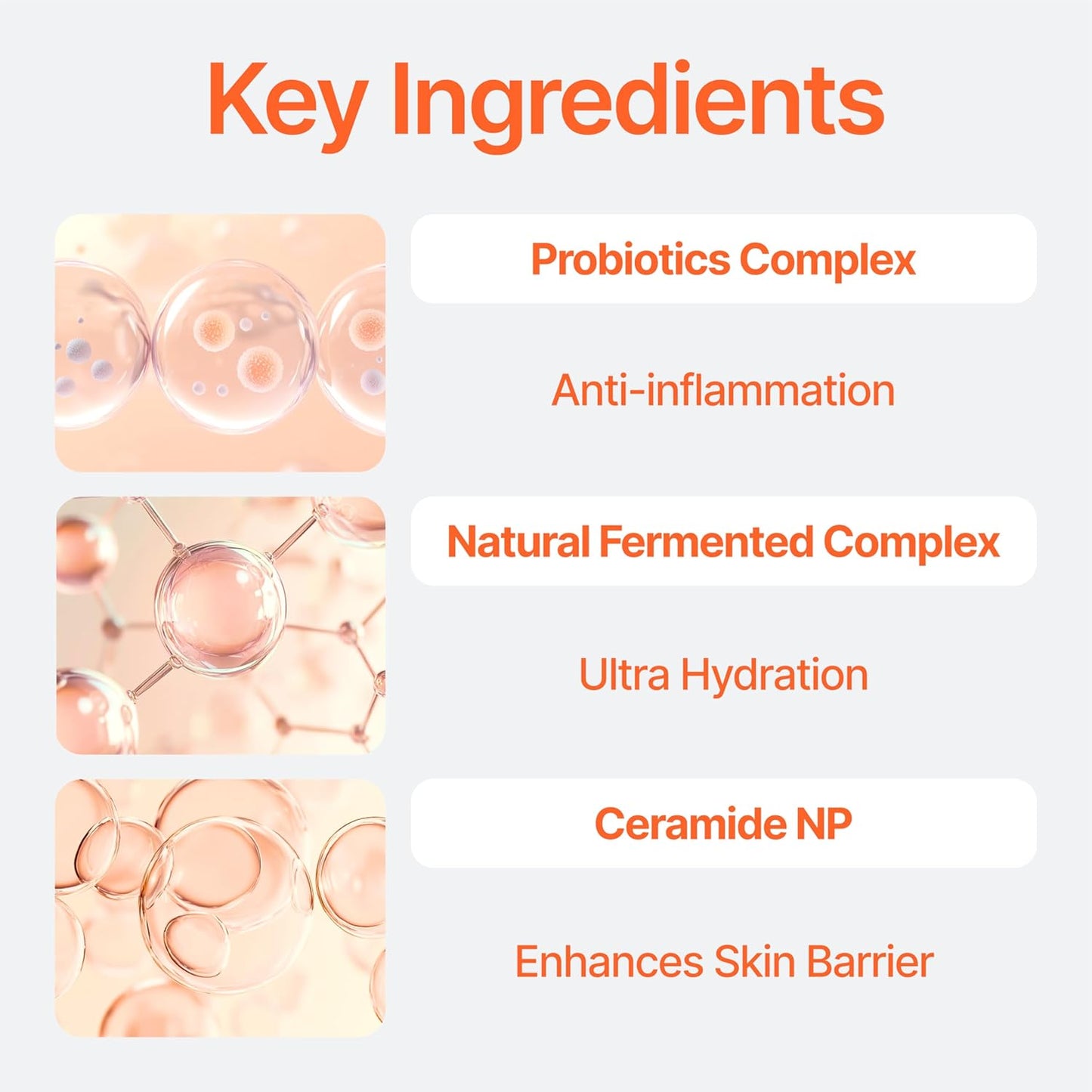 Bifida Barrier Cream, Moisturizing CUSKIN Korean Moisturizer Skincare with Ceramide NP, Squalane, and Hyaluronic Acid for Hydration and Skin Elasticity, 50ml (1.69 Fl. Oz.)