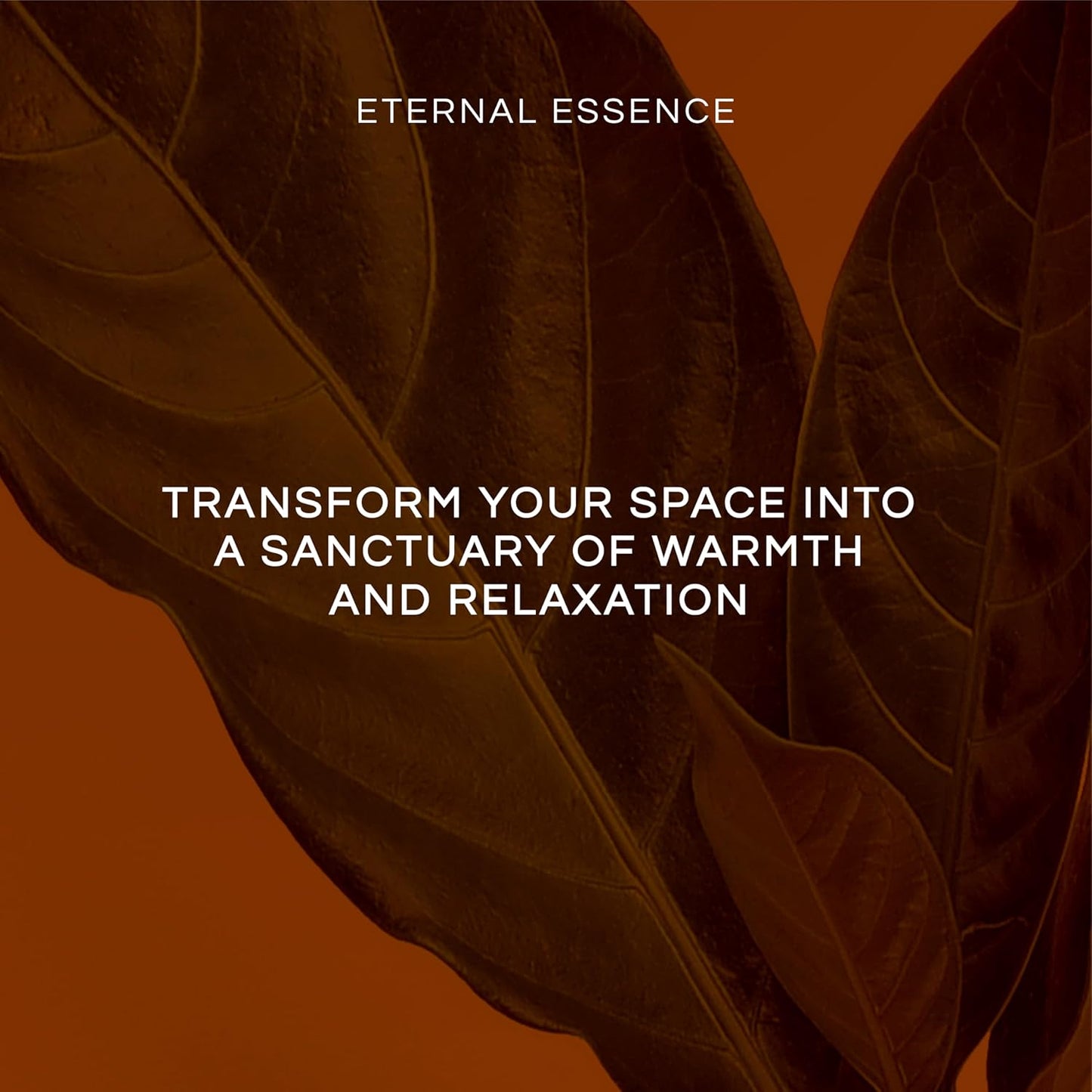 Eternal Essence Oils Date Night Set of 6 Premium Fragrance Oils - Includes PS I Love You, Amber Romance, Secret Crush, Chocolate Fondue, Strawberry Champagne, and Love Spell Scented Oils - 10ML