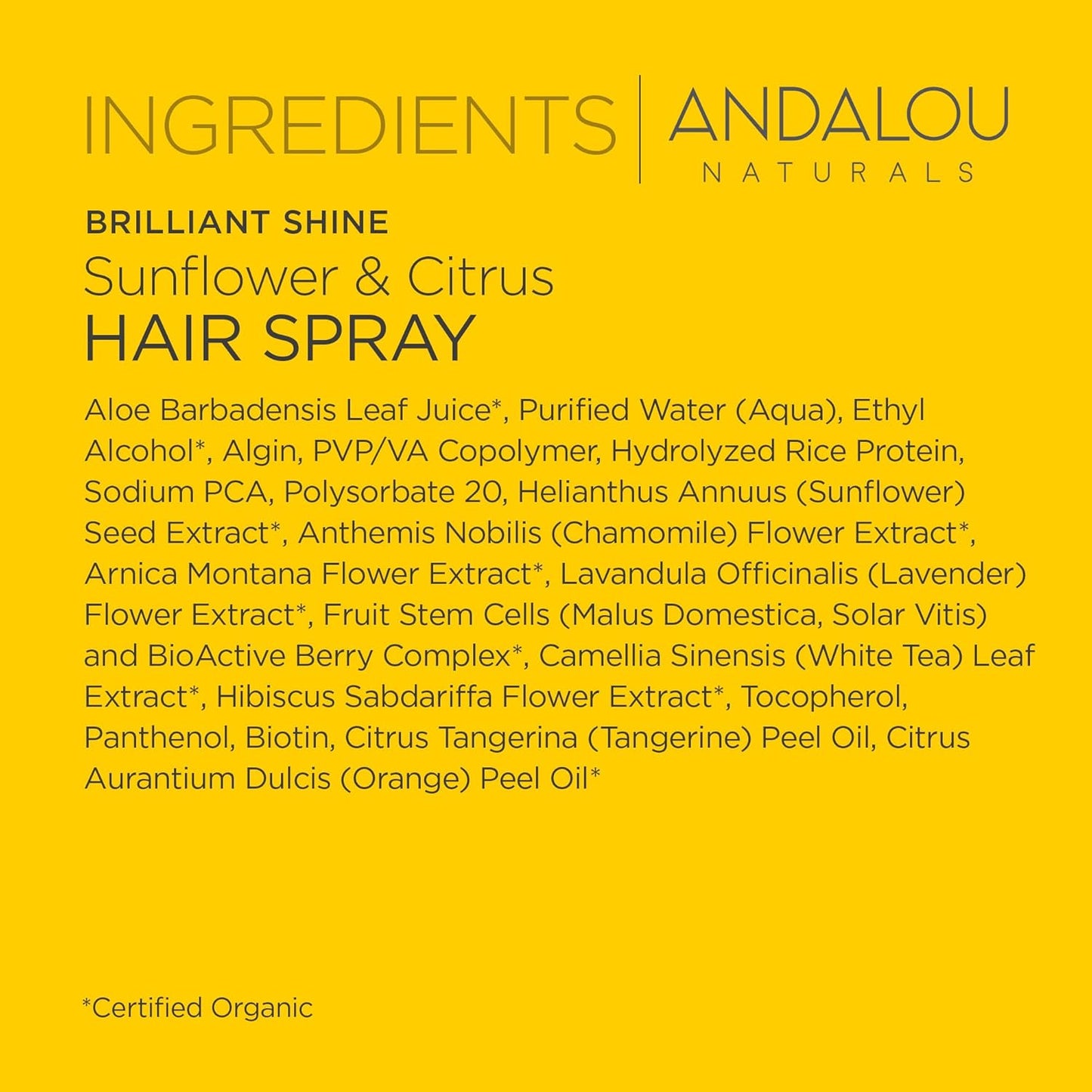 Andalou Naturals Sunflower & Citrus Brilliant Shine Hair Spray | Styling for Shine & Medium Hold | Aloe Vera for Frizz Control | Natural & Cruelty Free | 8.2 fl oz