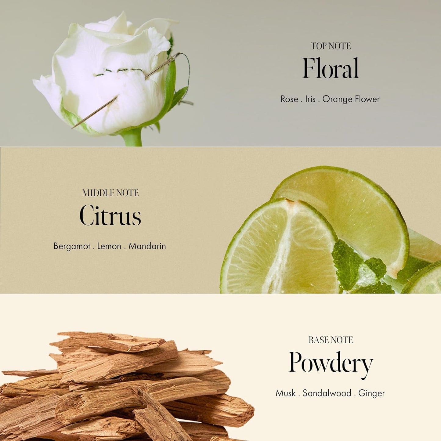 Rosy Night Vegan Hair Perfume Long-Lasting Floral Musky Scented with Damask Rose Extract, Rosehip Oil, Peptide Complex for All Hair Type, Free of Silicone & Parabens (3.38 fl. Oz)