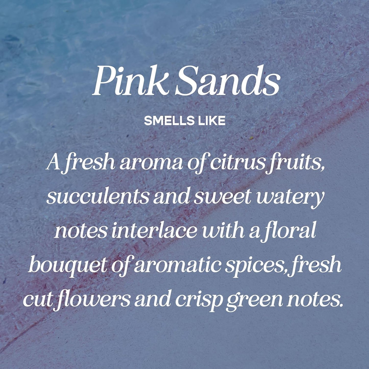 CANDECraftCo Premium Fragrance Oil – Diffuser Oils Fragrances Scented for Home, Candle Soap Making Supplies, Aromatherapy Blends for House (0.34 Fl Oz) (2-Pack, Pink Sugar & Pink Sands)