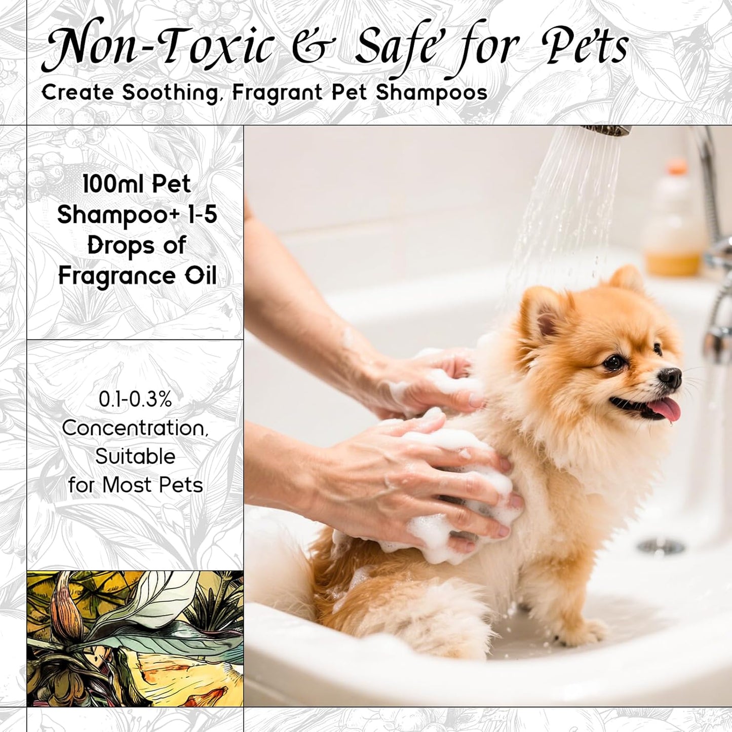 HIQILI Mint Bergamot Matins Fragrance Oil - 1 Fl Oz