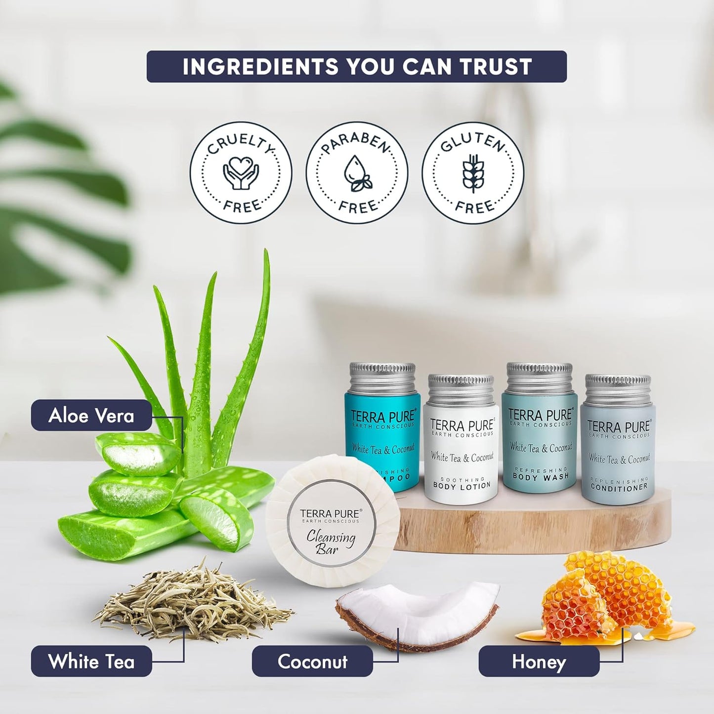 Terra Pure White Tea & Coconut Hotel Size Toiletries Set | 1-Shoppe All-In-Kit | 1 oz. Liquids and 1.25 oz. Bar Soap | Amenities For Hotels, Airbnb & Rentals | (75 pieces)