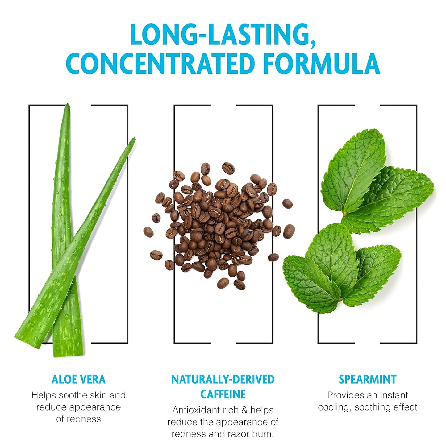 Pacific Shaving Company Caffeinated Aftershave, Men's Grooming Product - Antioxidant Daily Face Lotion + After Shave - Soothing Aloe & Spearmint Post Shave Balm for Sensitive Skin (3.4 Fl Oz, 3 Pack)