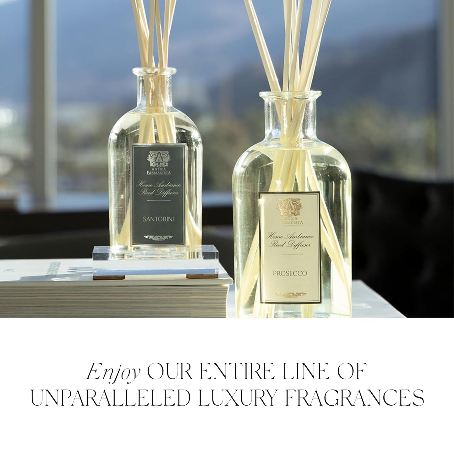 Antica Farmacista Body Moisturizer - Moisturizing Scented Lotion - Premium Body Moisturizer - Luxury Gift for Women & Men - Hand & Skin Hydration - Prosecco, 10 Fl Oz