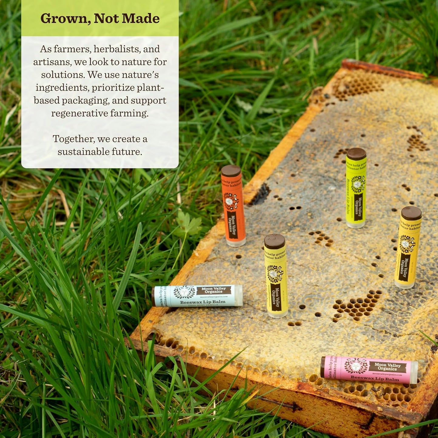 Moon Valley Organics Beeswax Lip Balm for Moisturizing Lips and Cuticles (TROPICAL COCONUT LIME, 6-Pack)